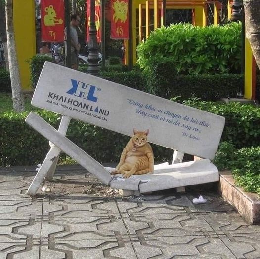 Next.js Conf photo