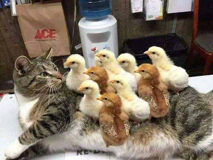Next.js Conf photo