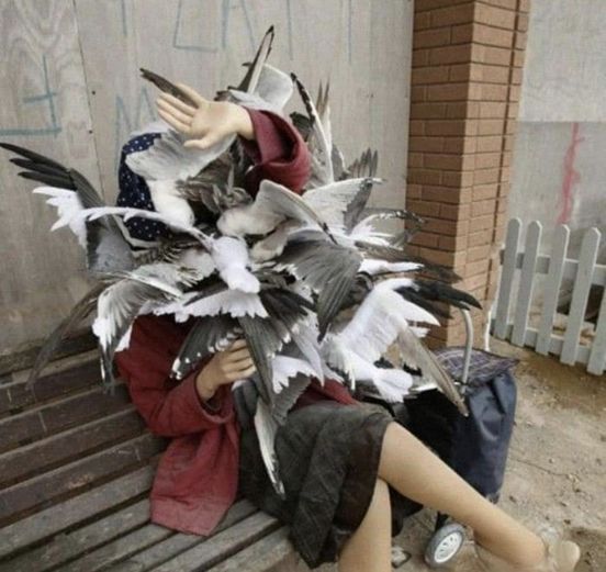 Next.js Conf photo