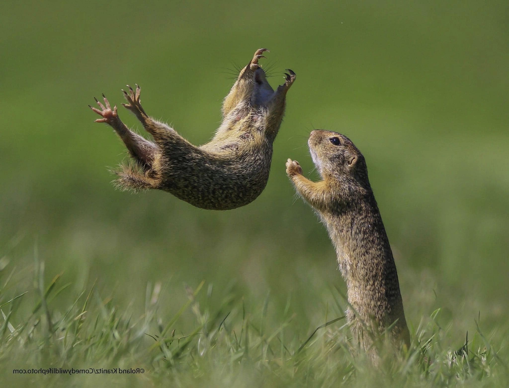 Next.js Conf photo