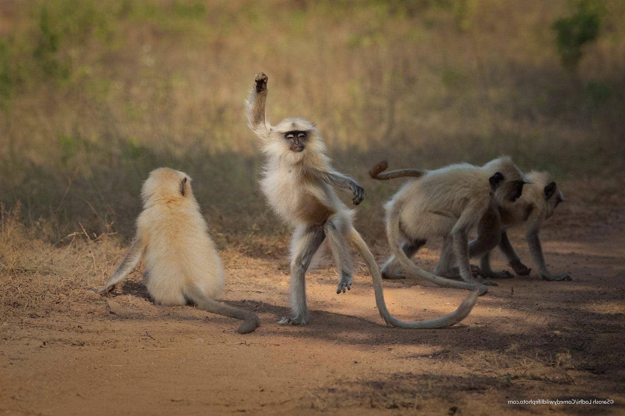 Next.js Conf photo