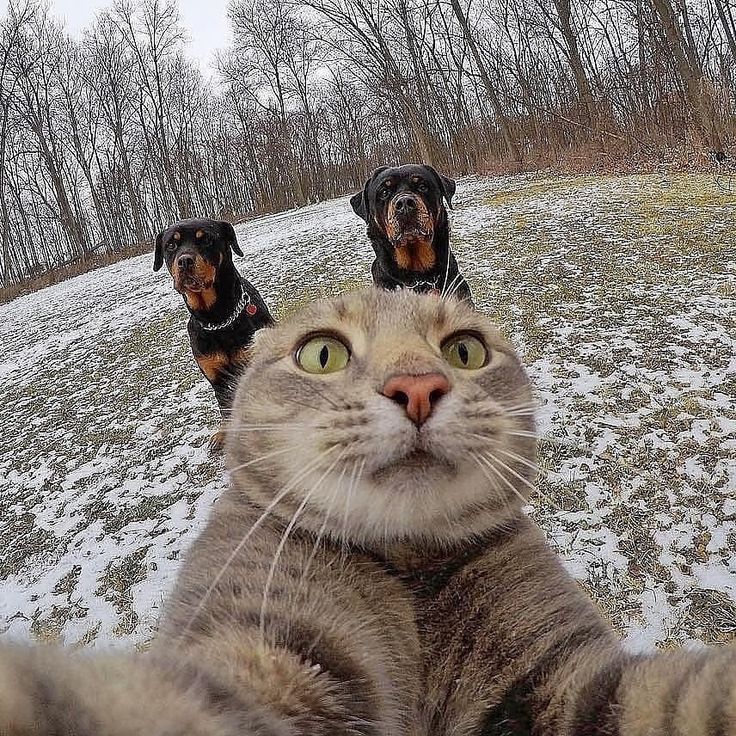 Next.js Conf photo