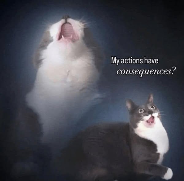 Next.js Conf photo