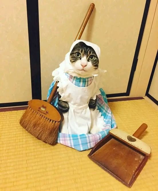 Next.js Conf photo