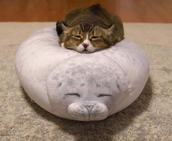 Next.js Conf photo