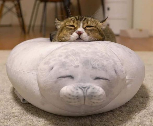 Next.js Conf photo