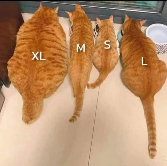 Next.js Conf photo