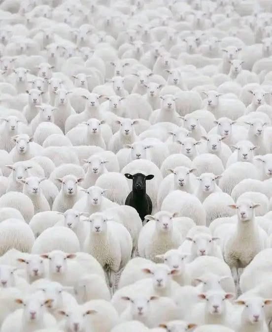 Next.js Conf photo