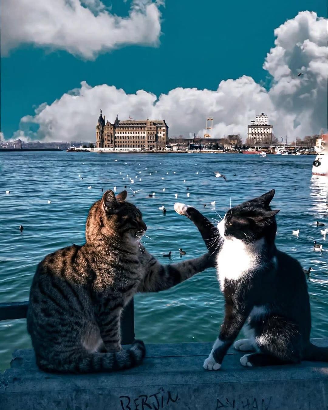 Next.js Conf photo