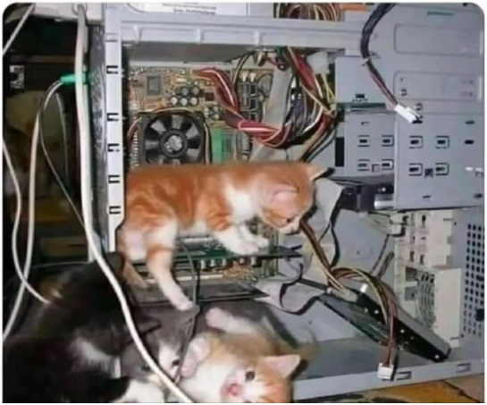 Next.js Conf photo