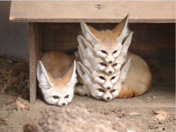 Next.js Conf photo